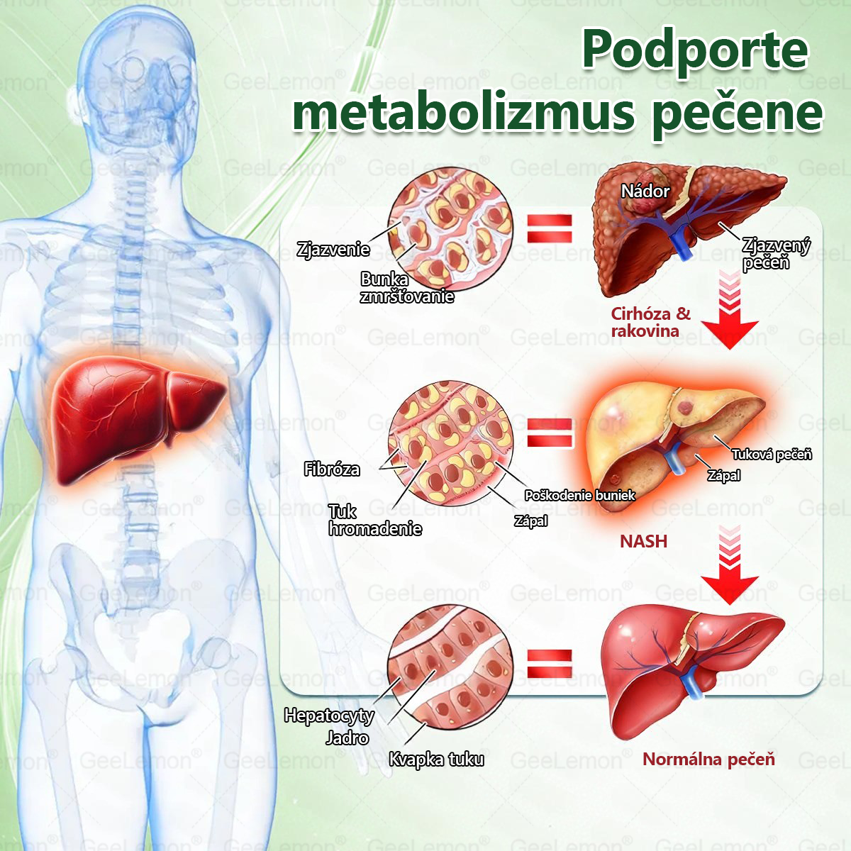 TÁTO PONUKA NEČAKÁ ⏳ TERAZ ZĽAVA −50 % 🔥 ZÁSOBY SA RÝCHLO ZMENŠUJÚ ODOČÍTAVANIE BEŽÍ KTO VÁHA, ZAPLATÍ VIAC ❌ KONAJTE HNEĎ
