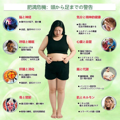 🎉 今だけ50%OFF｜GeeLemon® Moringa・Berberine × NAD+ 10-in-1 ナノマイクロニードルパッチ｜今だけの特別価格！